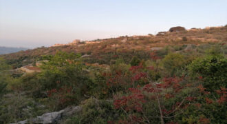 Land for Sale Aalali Batroun Area 1783Sqm