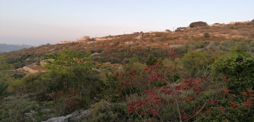 Land for Sale Aalali Batroun Area 1783Sqm