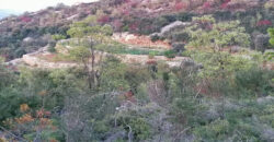 Land for Sale Aalali Batroun Area 1783Sqm