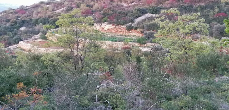 Land for Sale Aalali Batroun Area 1783Sqm