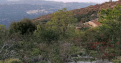 Land for Sale Aalali Batroun Area 1783Sqm