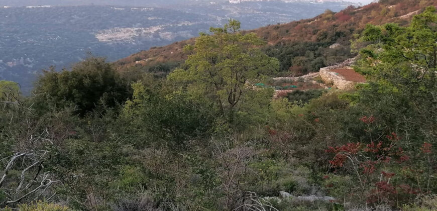 Land for Sale Aalali Batroun Area 1783Sqm