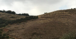 Land for Sale Aaqoura ( Laqlouq ) Jbeil Area 630Sqm