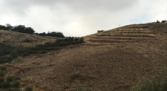Land for Sale Aaqoura ( Laqlouq ) Jbeil Area 630Sqm