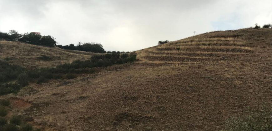 Land for Sale Aaqoura ( Laqlouq ) Jbeil Area 630Sqm