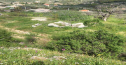 Land for Sale Chabtine Batroun Area 1337Sqm