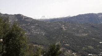 Land for Sale Tourzaiyya Jbeil Area 570Sqm