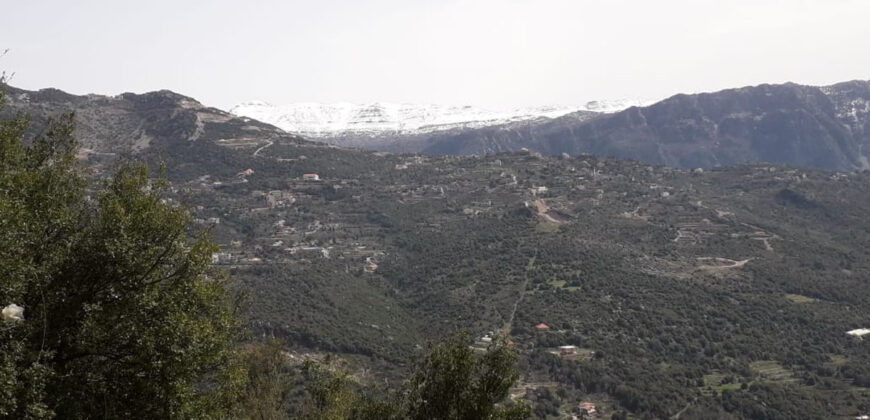 Land for Sale Tourzaiyya Jbeil Area 570Sqm
