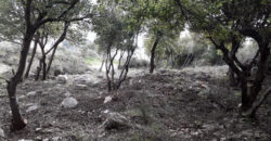 Land for Sale Tourzaiyya Jbeil Area 570Sqm