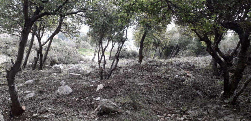 Land for Sale Tourzaiyya Jbeil Area 570Sqm