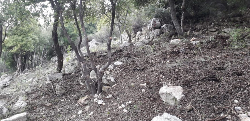 Land for Sale Tourzaiyya Jbeil Area 570Sqm