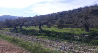 Land for Sale Ain Kfaa Jbeil Area 1294Sqm