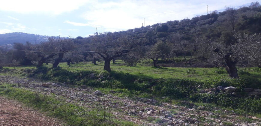 Land for Sale Ain Kfaa Jbeil Area 1294Sqm