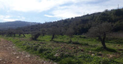 Land for Sale Ain Kfaa Jbeil Area 1294Sqm