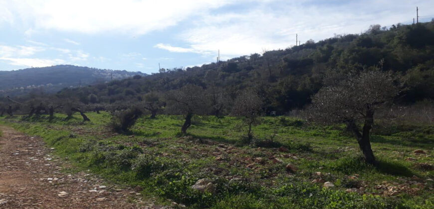 Land for Sale Ain Kfaa Jbeil Area 1294Sqm