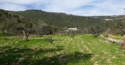 Land for Sale Ain Kfaa Jbeil Area 1294Sqm
