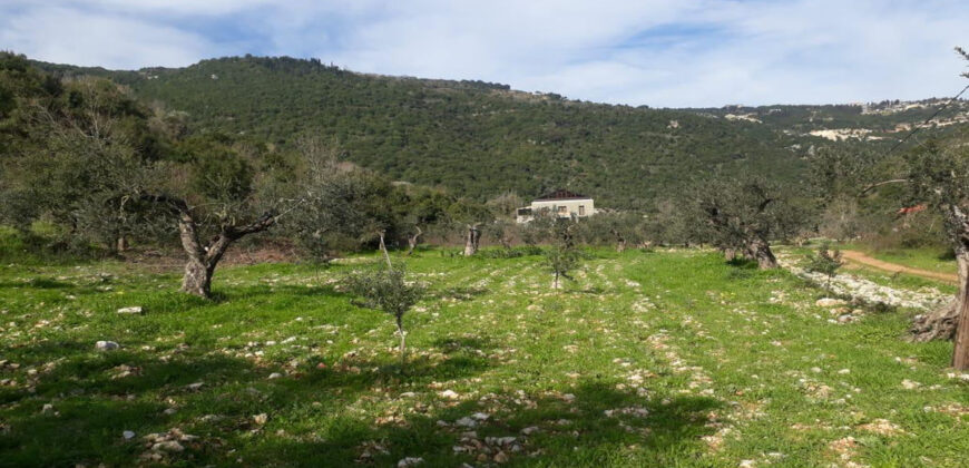 Land for Sale Ain Kfaa Jbeil Area 1294Sqm