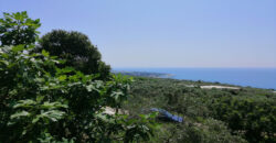 Land for Sale Rayhan Jbeil Area 1900Sqm