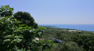 Land for Sale Rayhan Jbeil Area 1900Sqm