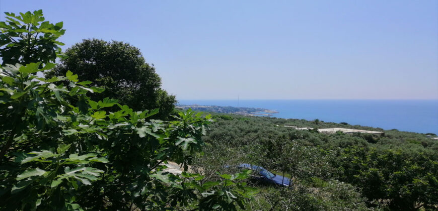 Land for Sale Rayhan Jbeil Area 1900Sqm