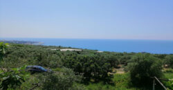 Land for Sale Rayhan Jbeil Area 1900Sqm