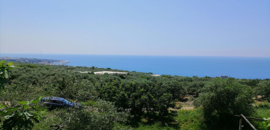 Land for Sale Rayhan Jbeil Area 1900Sqm