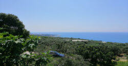 Land for Sale Rayhan Jbeil Area 1900Sqm