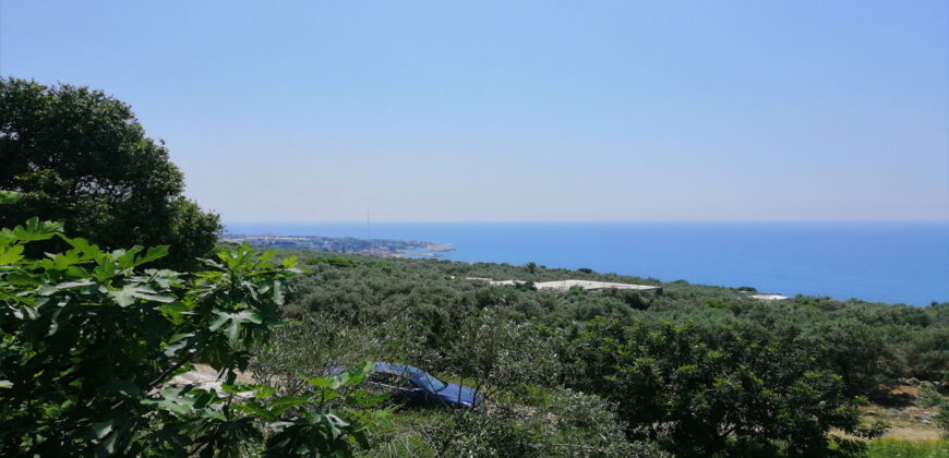 Land for Sale Rayhan Jbeil Area 1900Sqm