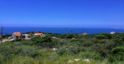 Land for Sale Berbara Jbeil Area 1155Sqm