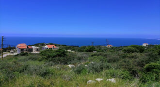 Land for Sale Berbara Jbeil Area 1155Sqm
