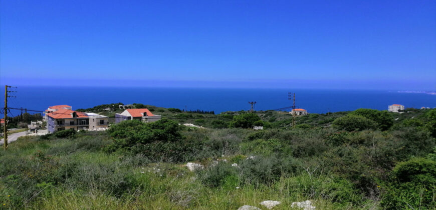 Land for Sale Berbara Jbeil Area 1155Sqm