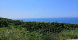 Land for Sale Berbara Jbeil Area 1155Sqm