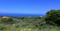 Land for Sale Berbara Jbeil Area 1155Sqm