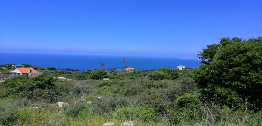Land for Sale Berbara Jbeil Area 1155Sqm