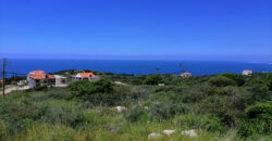 Land for Sale Berbara Jbeil Area 1155Sqm