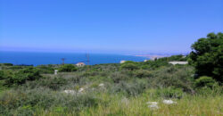 Land for Sale Berbara Jbeil Area 1155Sqm