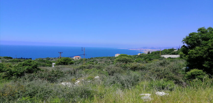 Land for Sale Berbara Jbeil Area 1155Sqm