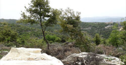 Land for Sale Ras Osta Jbeil Area 7191Sqm