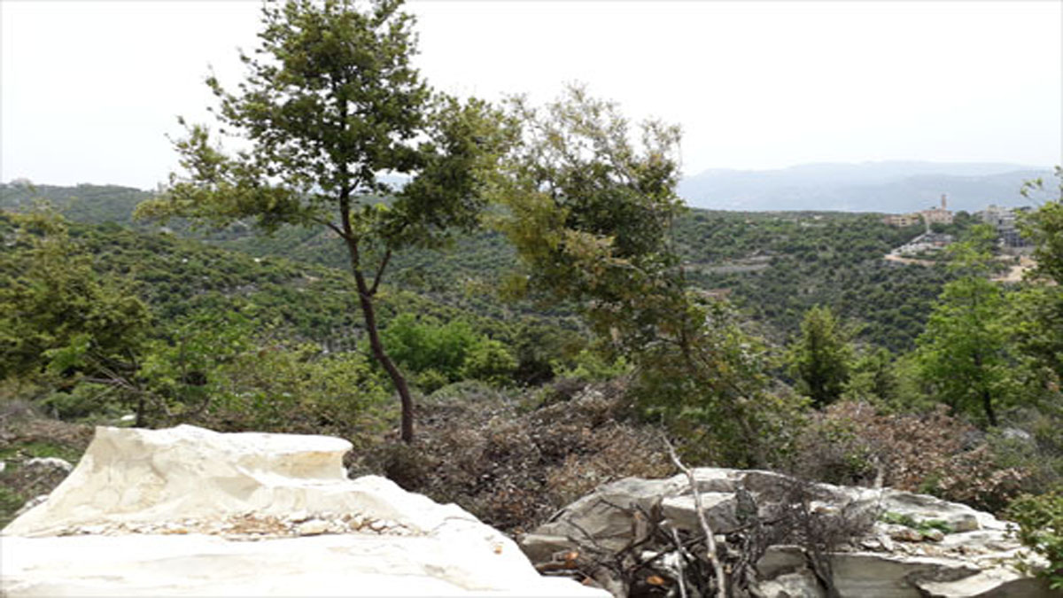 Land for Sale Ras Osta Jbeil Area 7191Sqm