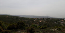 Land for Sale Ras Osta Jbeil Area 7191Sqm