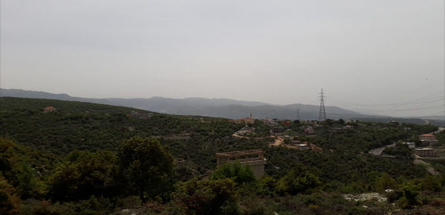 Land for Sale Ras Osta Jbeil Area 7191Sqm