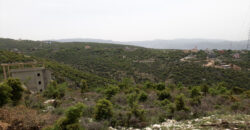 Land for Sale Ras Osta Jbeil Area 7191Sqm