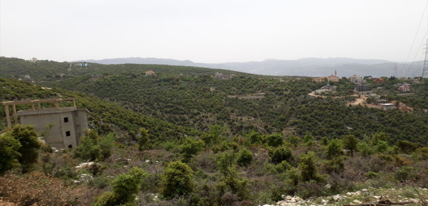 Land for Sale Ras Osta Jbeil Area 7191Sqm