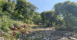 Land for Sale Chabtine Batroun Area 2630Sqm