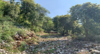 Land for Sale Chabtine Batroun Area 2630Sqm