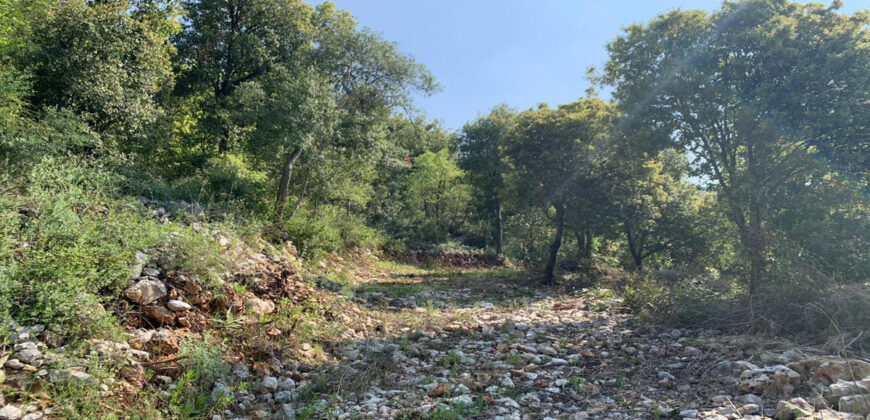 Land for Sale Chabtine Batroun Area 2630Sqm