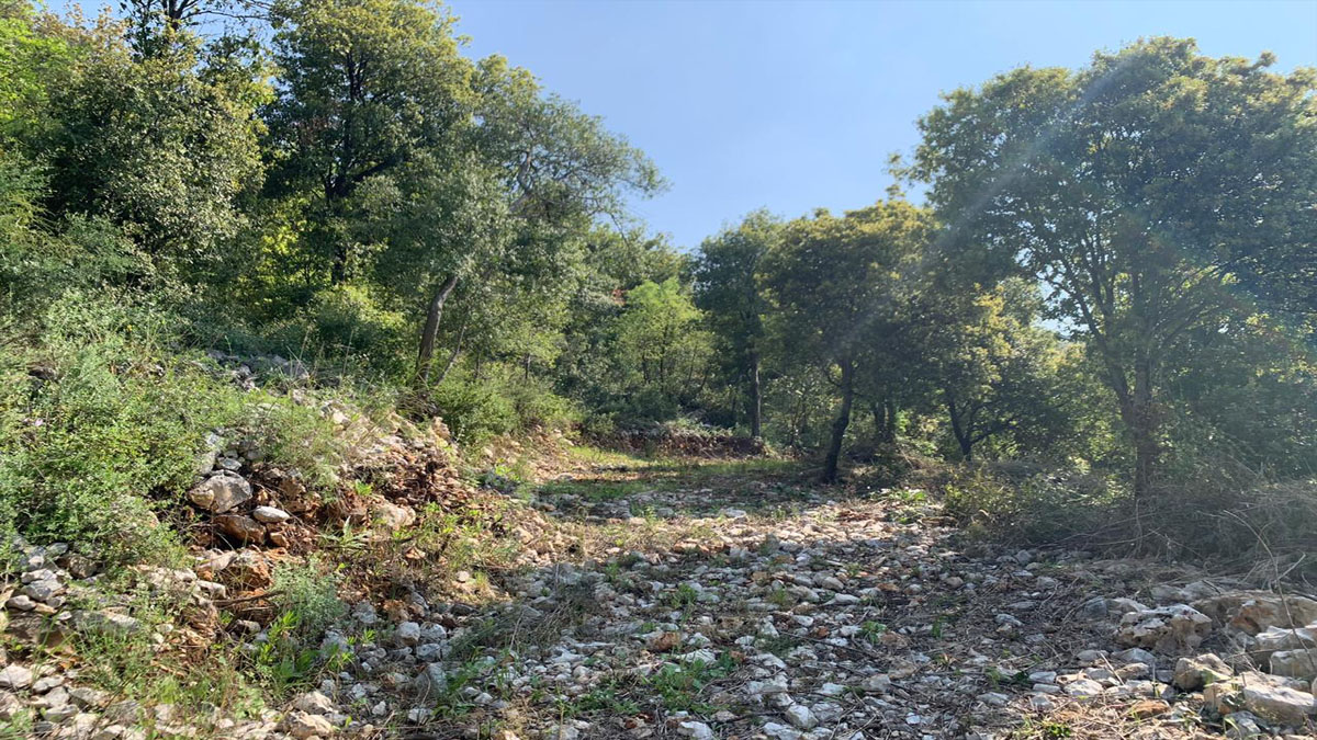 Land for Sale Chabtine Batroun Area 2630Sqm