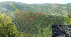 Land for Sale Chabtine Batroun Area 9368Sqm