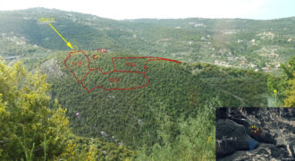 Land for Sale Chabtine Batroun Area 9368Sqm