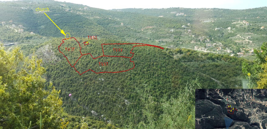 Land for Sale Chabtine Batroun Area 9368Sqm